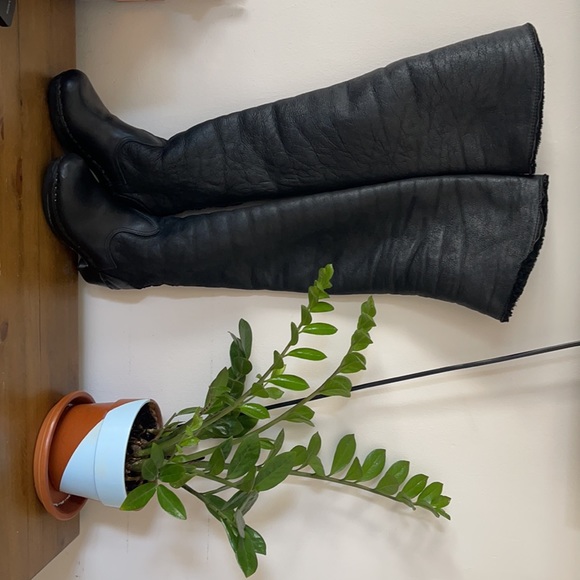 Swedish Hasbeens - Picture 6 of 7